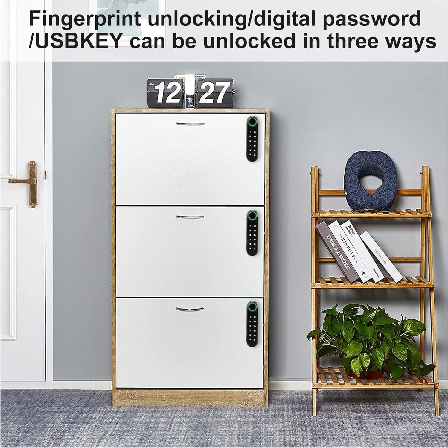 Cerradura de Gabinete MYPIN con Huella Dactilar y USB