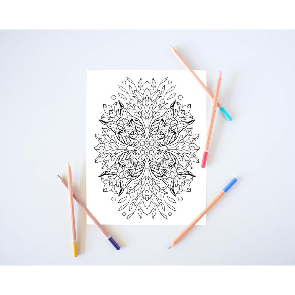 Libro de colorear para adultos: Colorea por números - mandalas y patrones (Spanish Edition)