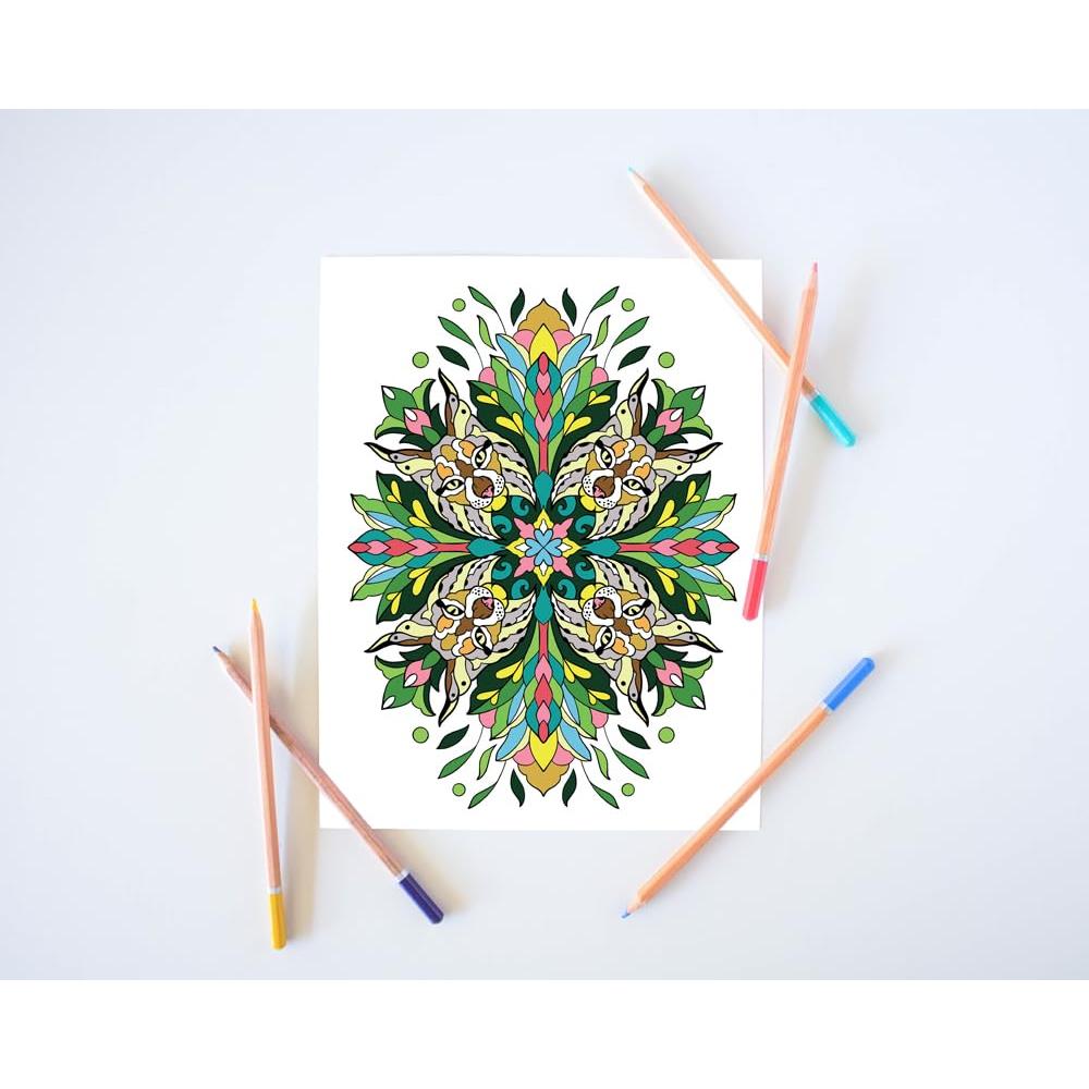 Libro de colorear para adultos: Colorea por números - mandalas y patrones (Spanish Edition)