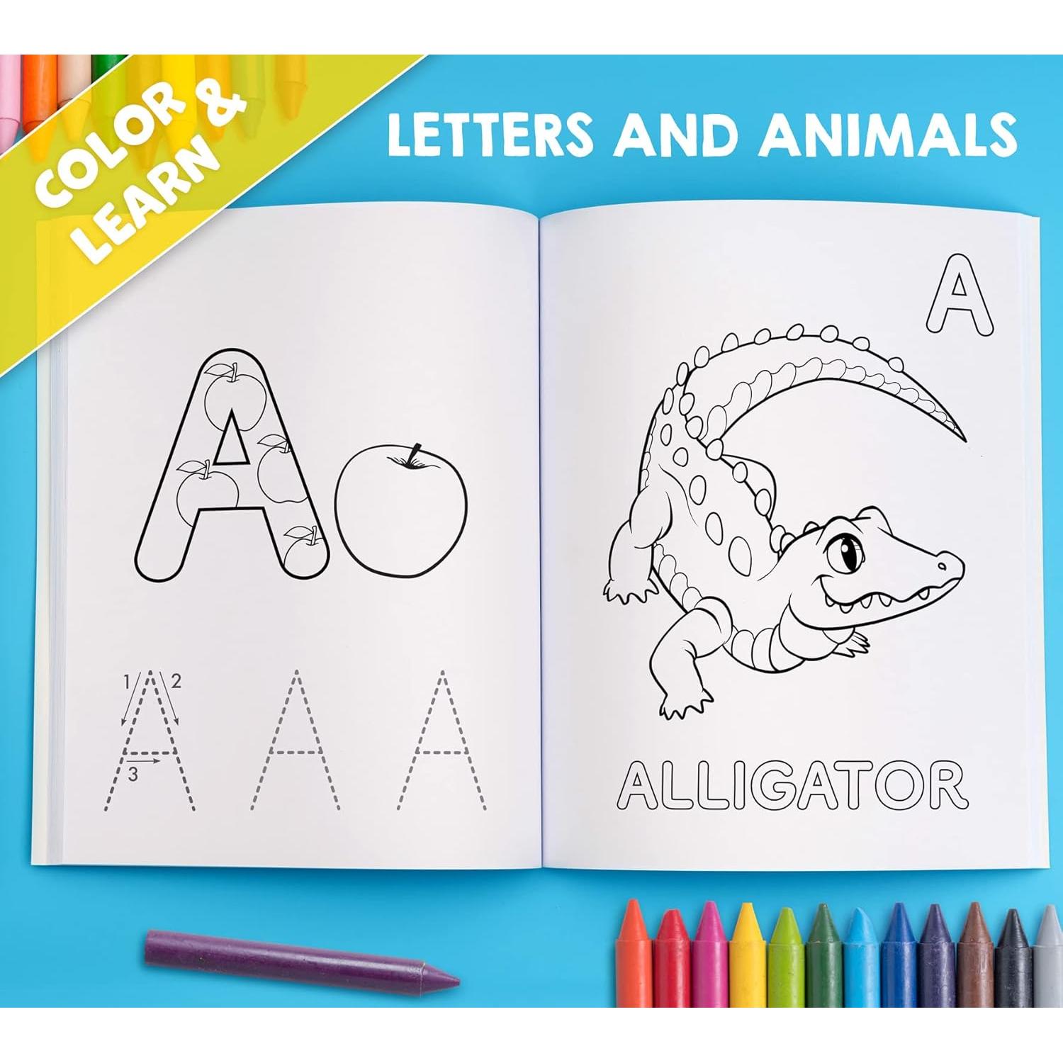 My Big Fun Coloring Book for Toddlers to Learn the Animals, Shapes, Colors, Numbers and Letters: Activity Workbook for Kids Ages 2-4 Years