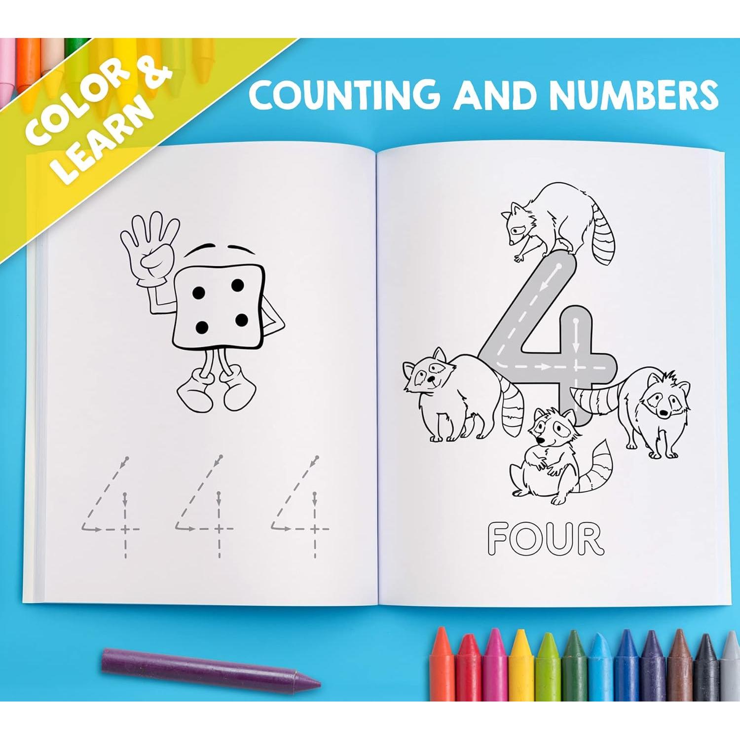 My Big Fun Coloring Book for Toddlers to Learn the Animals, Shapes, Colors, Numbers and Letters: Activity Workbook for Kids Ages 2-4 Years