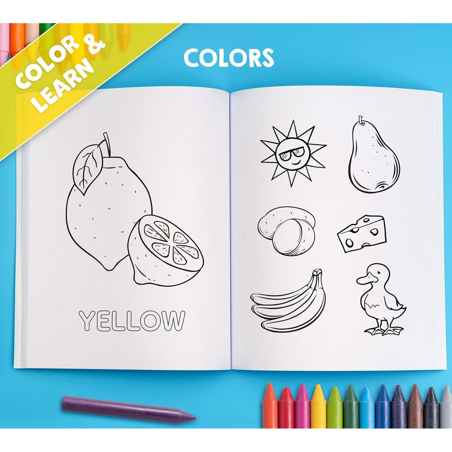 My Big Fun Coloring Book for Toddlers to Learn the Animals, Shapes, Colors, Numbers and Letters: Activity Workbook for Kids Ages 2-4 Years