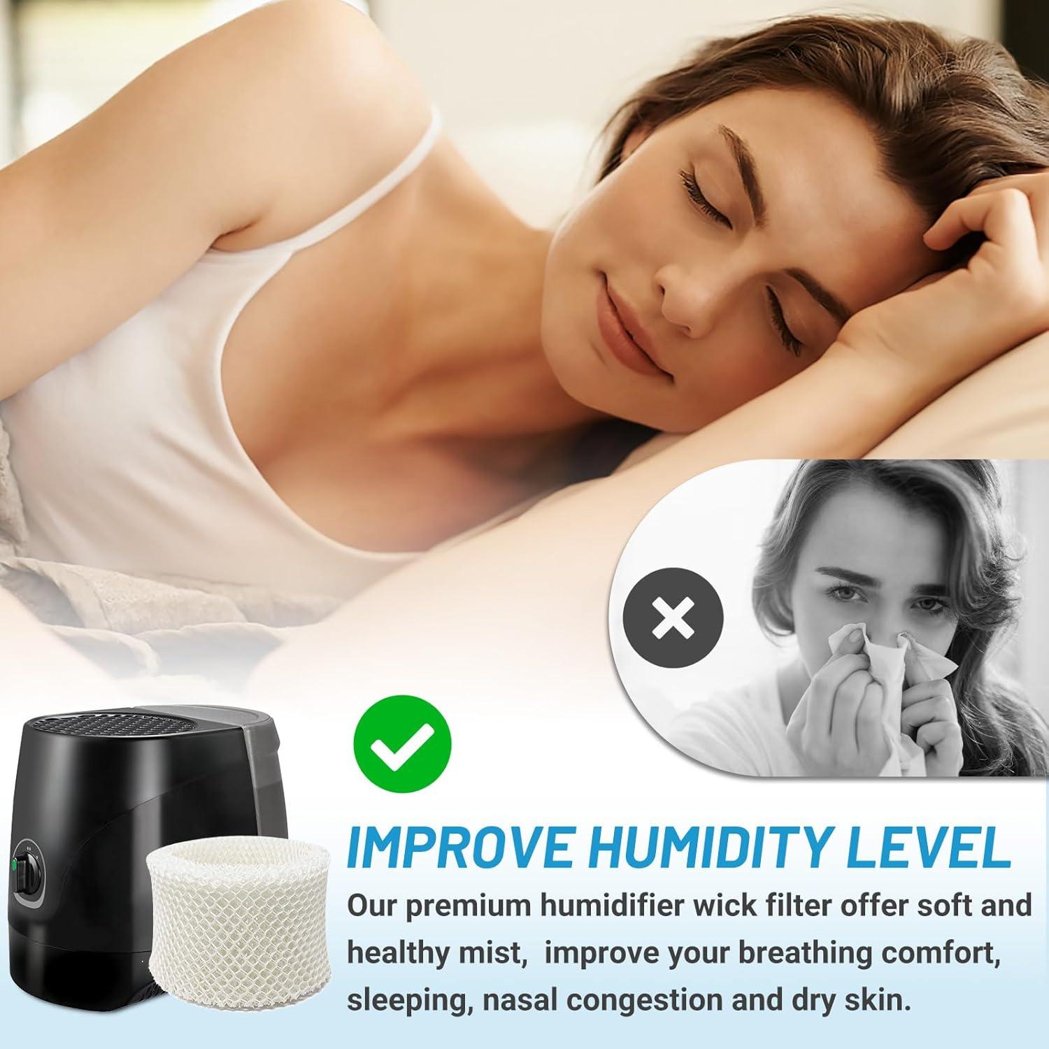 Filtros C Lemige HC888 6 Pack Compatibles Aspiradora