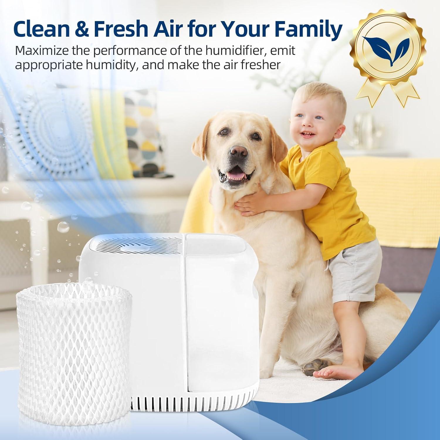 Filtro de Reemplazo DerBlue 6 Pack para Humidificador Canopy