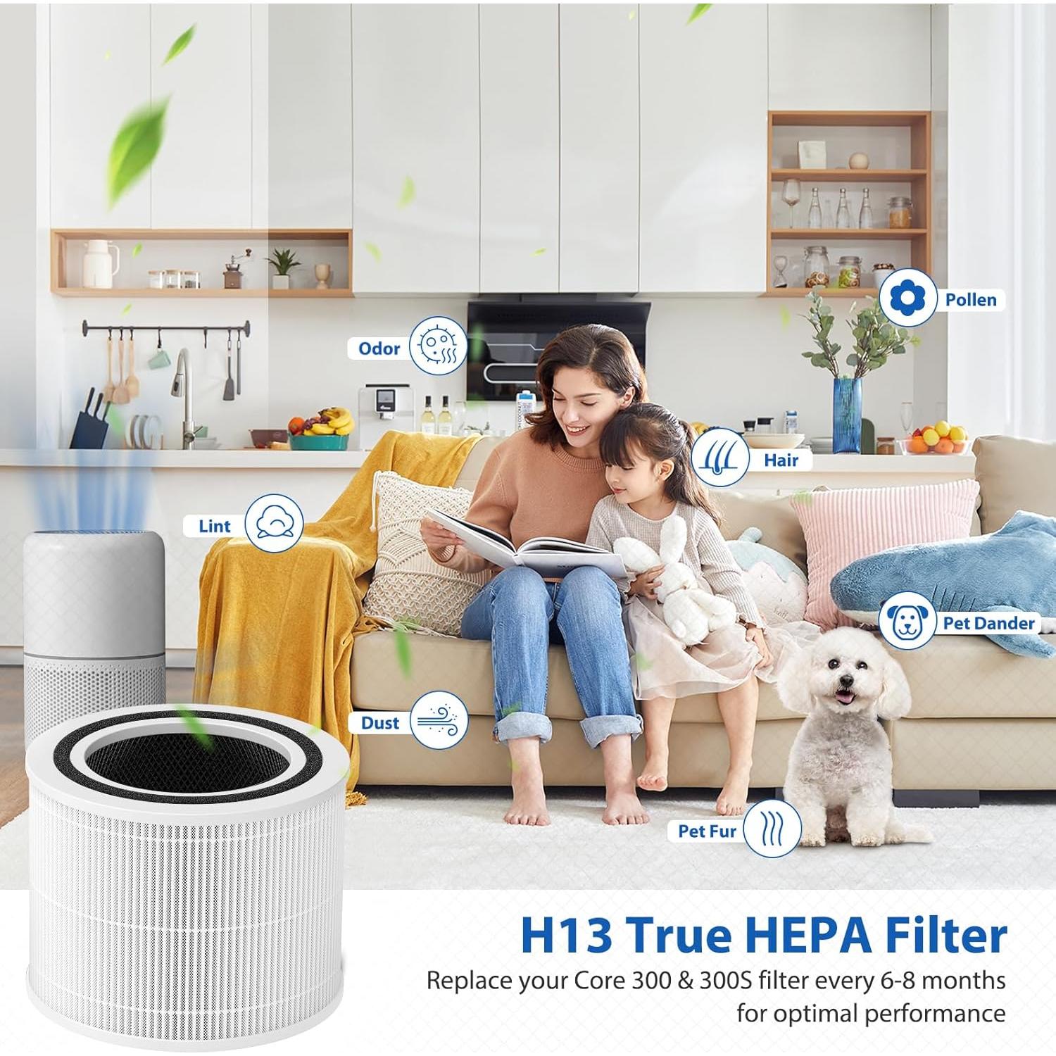 Filtro HEPA Colorfullife Core 300 para Purificador de Aire
