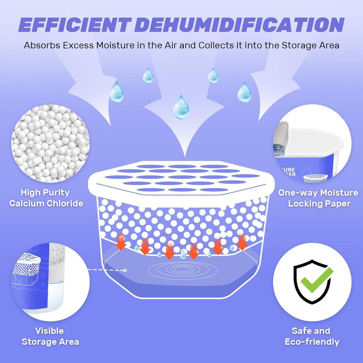 CLEVAST Cajas Deshumidificadoras 280g, Paquete de 6, Sin Fragancia