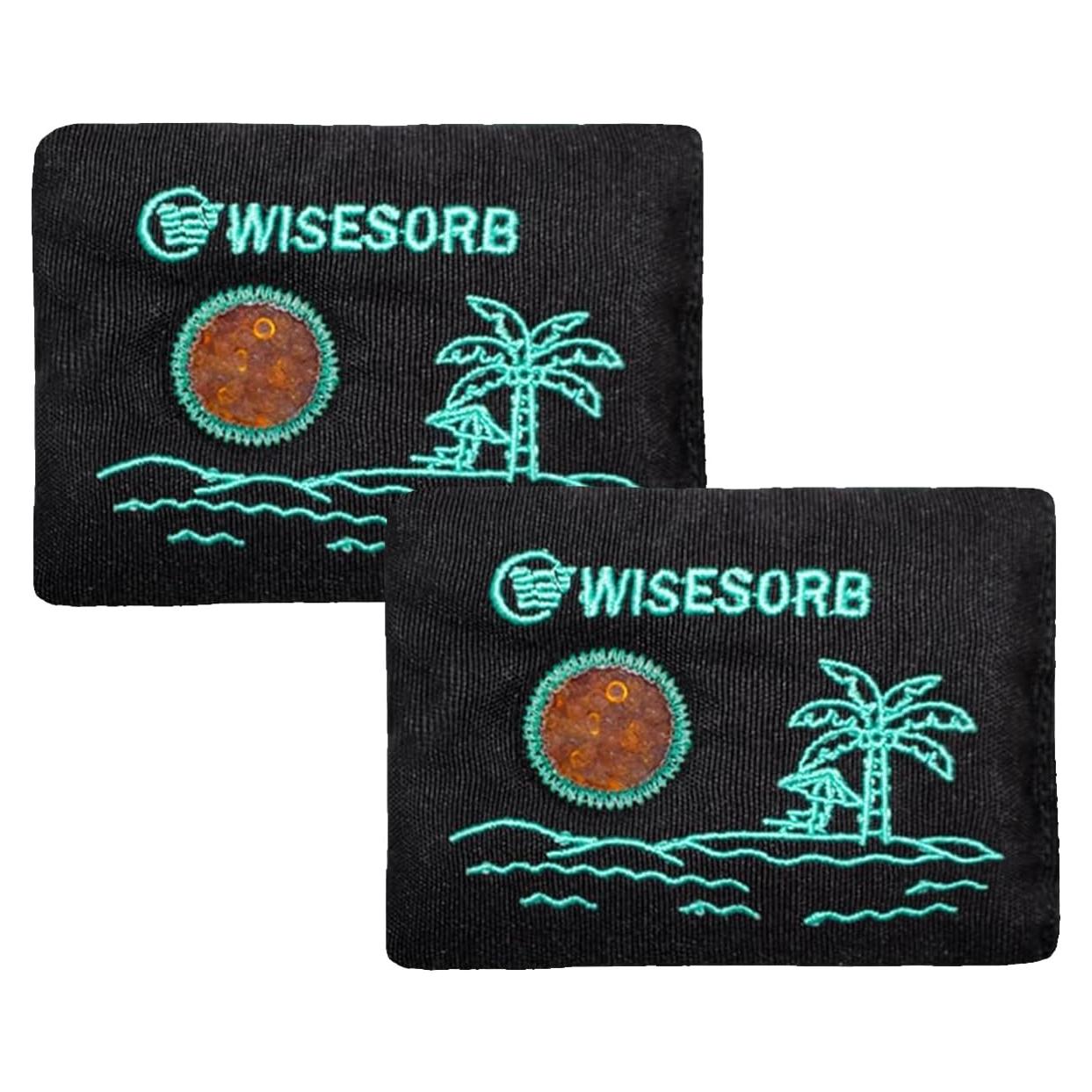 Paquetes Deshidratantes Reutilizables Wisesorbent 100g x 2