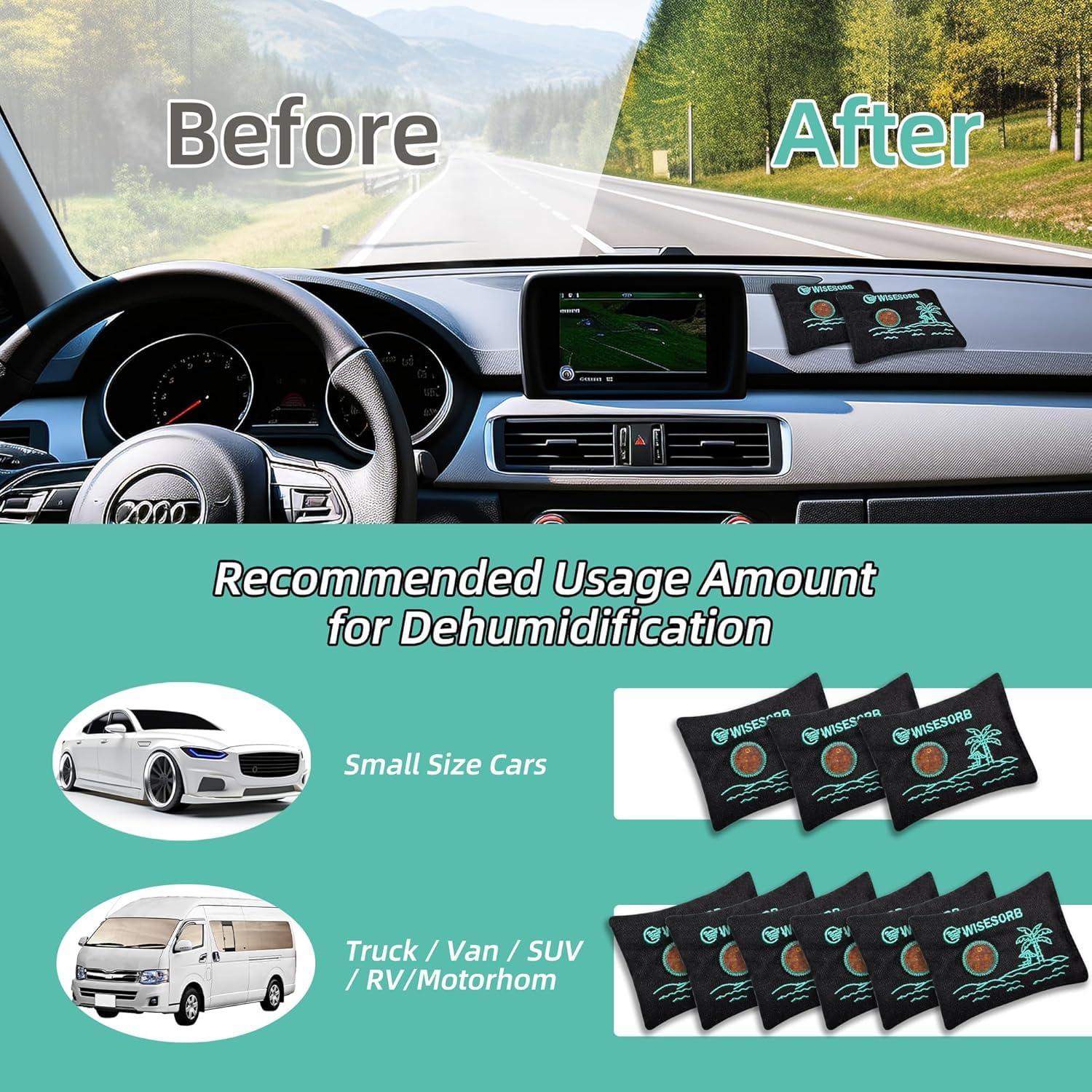 Paquetes Deshidratantes Reutilizables Wisesorbent 100g x 2