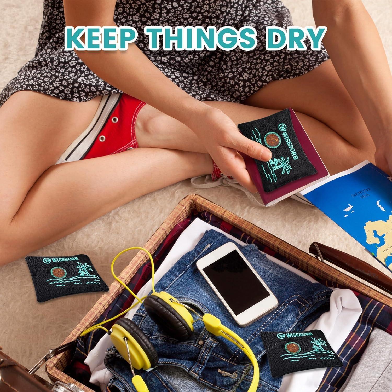 Paquetes Deshidratantes Reutilizables Wisesorbent 100g x 2