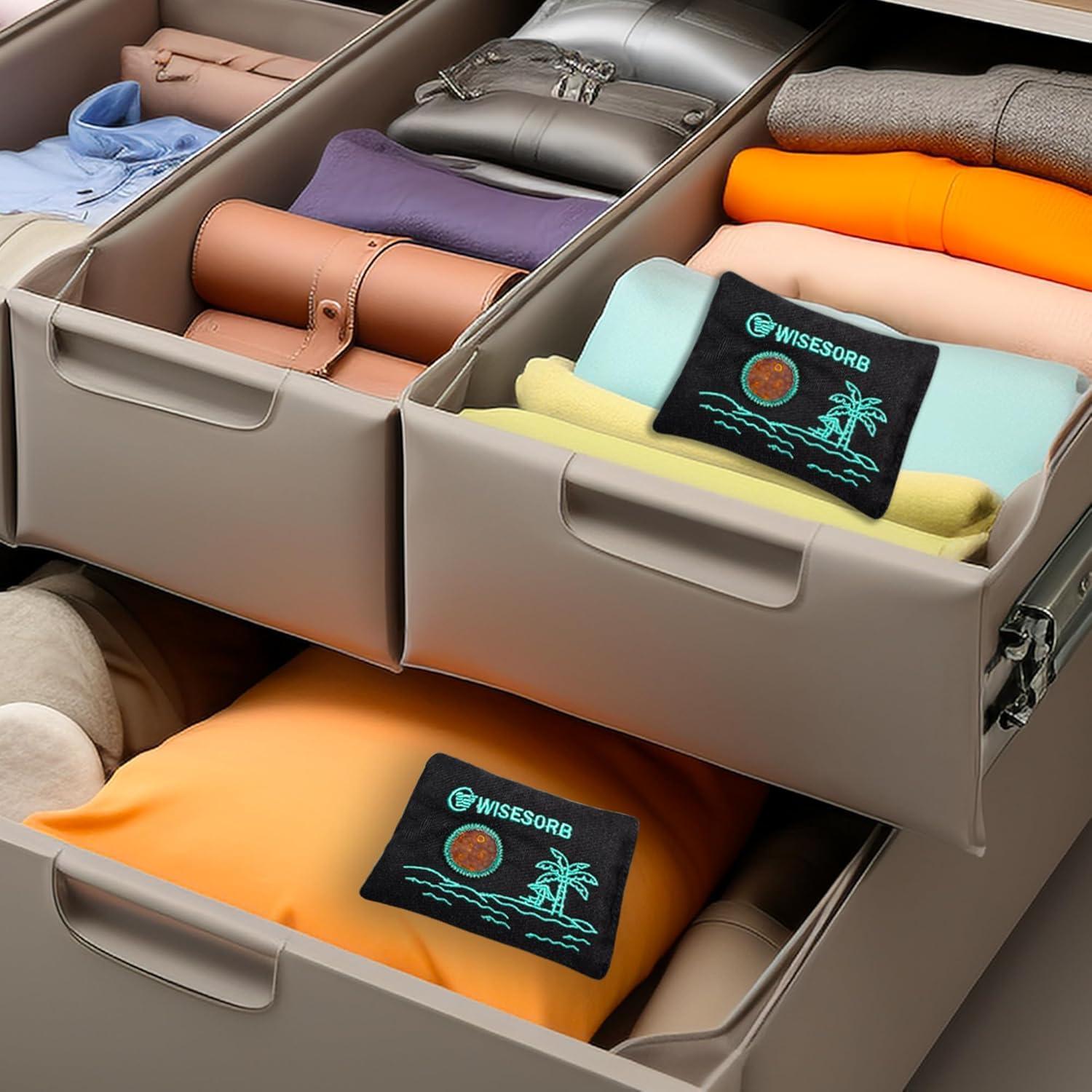 Paquetes Deshidratantes Reutilizables Wisesorbent 100g x 2