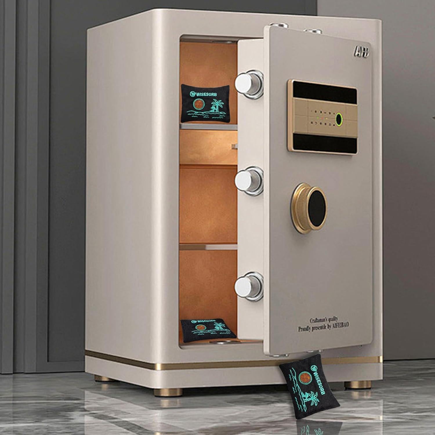 Paquetes Deshidratantes Reutilizables Wisesorbent 100g x 2