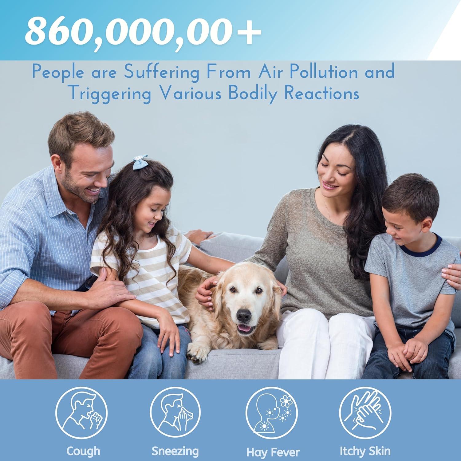 Filtro Nispira AER1 para Purificador de Aire Holmes HAPF30AT 4 HEPA 4 Carbono