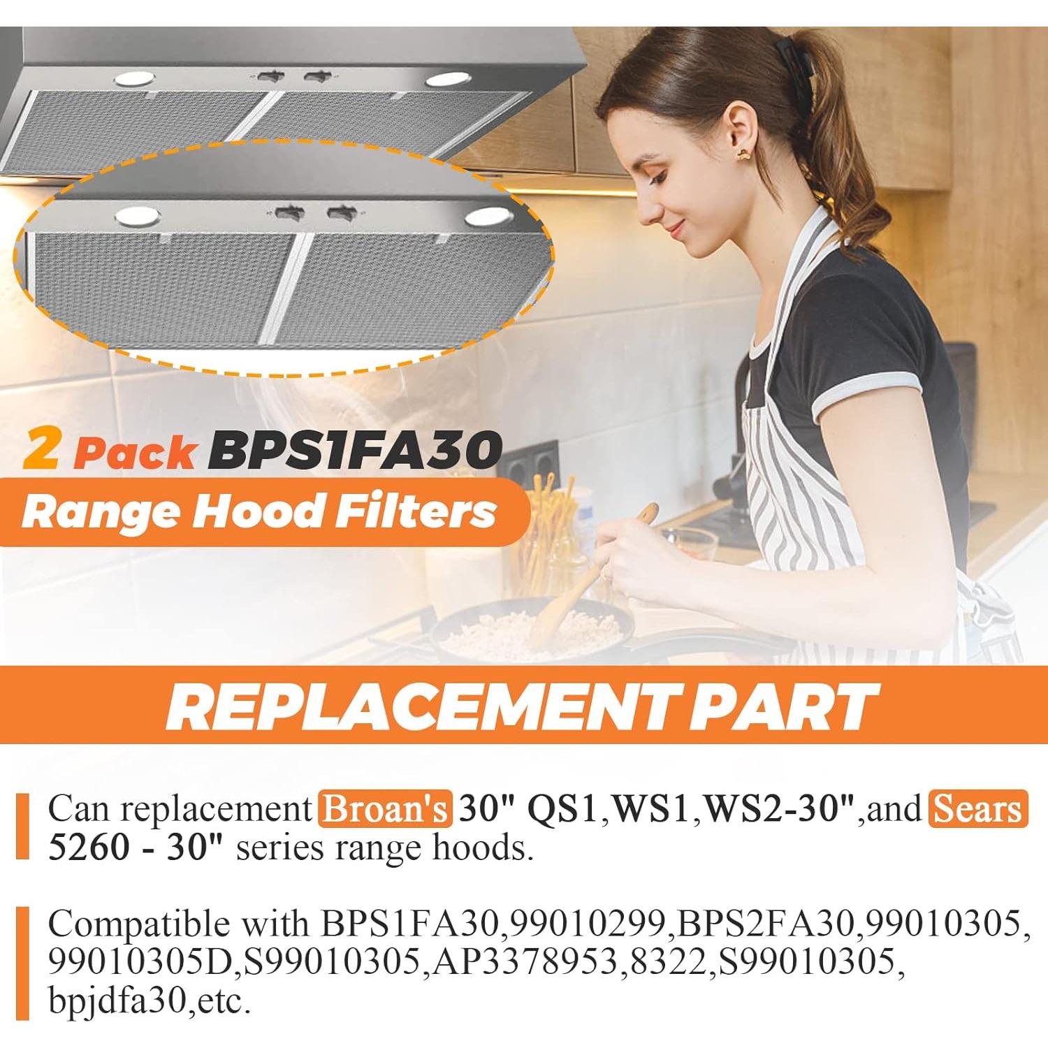 Filtro de Campana Extractora Beaquicy BPS1FA30 Aluminio 2 Piezas