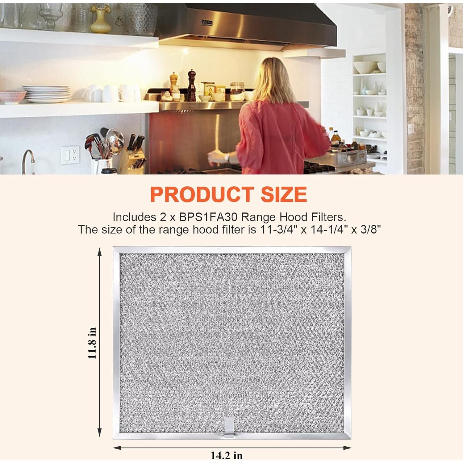 Filtro de Campana Extractora Beaquicy BPS1FA30 Aluminio 2 Piezas