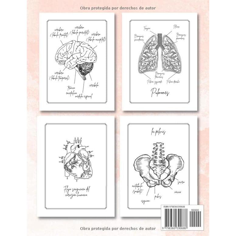 Libro de Colorear Anatomía Humana: Libro para Colorear el Cuerpo Humano (72 páginas) (Libros de Colorear Creativos) (Spanish Edition)