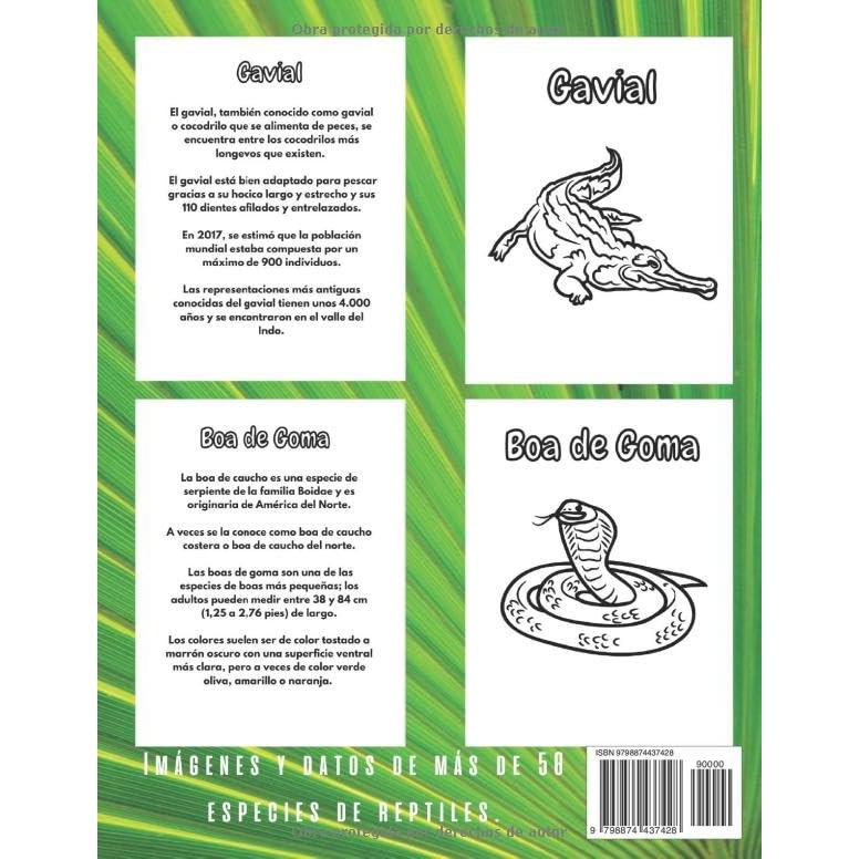Datos Sobre Reptiles y Libro para Colorear: Libro de actividades divertidas para niños de 2 a 12 años (Spanish Edition)