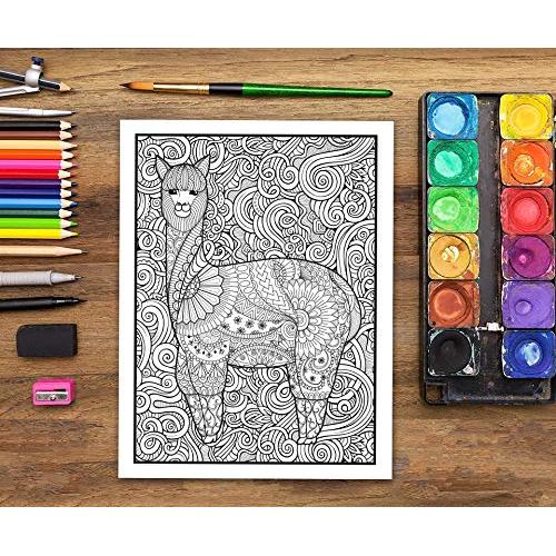 Naturaleza Viva: Libro De Colorear Para Adultos (Spanish Edition)