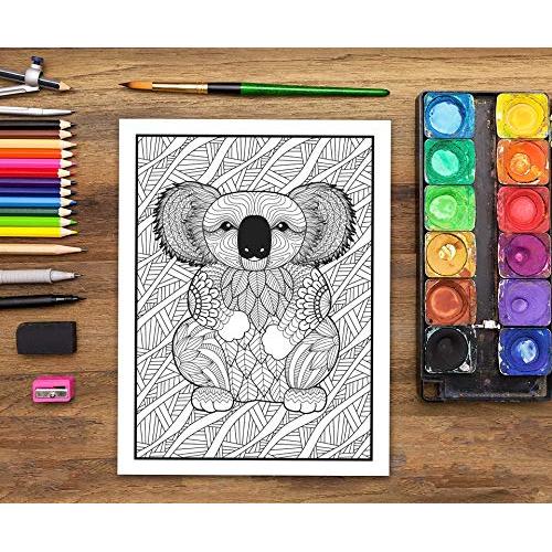 Naturaleza Viva: Libro De Colorear Para Adultos (Spanish Edition)