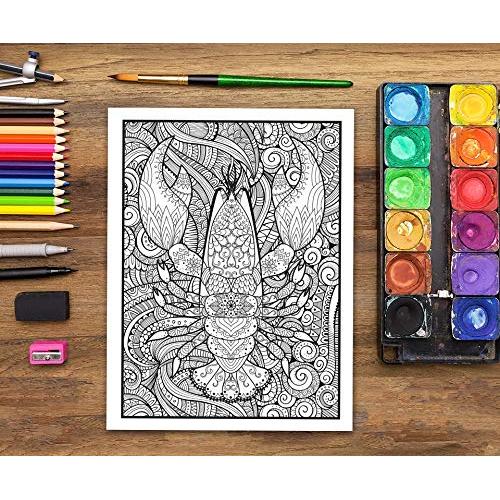 Naturaleza Viva: Libro De Colorear Para Adultos (Spanish Edition)