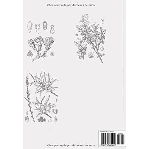 Ilustración botánica Libro para colorear: Páginas para Colorear con Hermosas Flores. Libros para colorear (Spanish Edition)