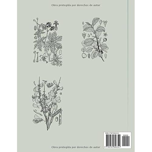 Ilustración botánica Libro para colorear: Páginas para Colorear con Hermosas Flores. Libros para colorear antiestrés (Spanish Edition)