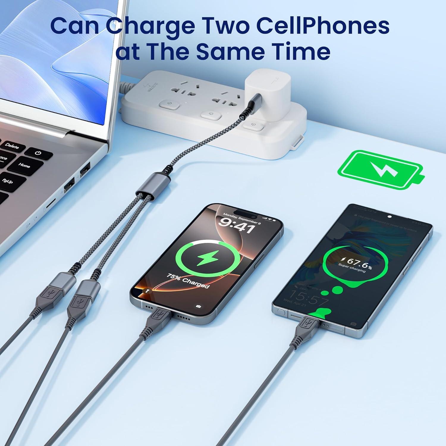 Divisor USB Itramax 1FT Doble Puerto Adaptador Gris