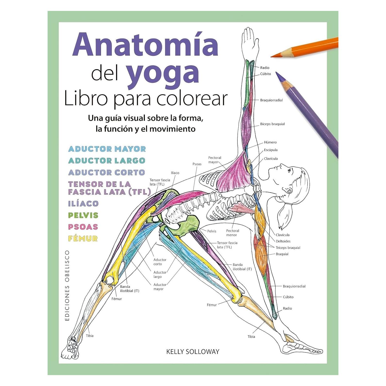 Anatomía del yoga. Libro para colorear (Spanish Edition)