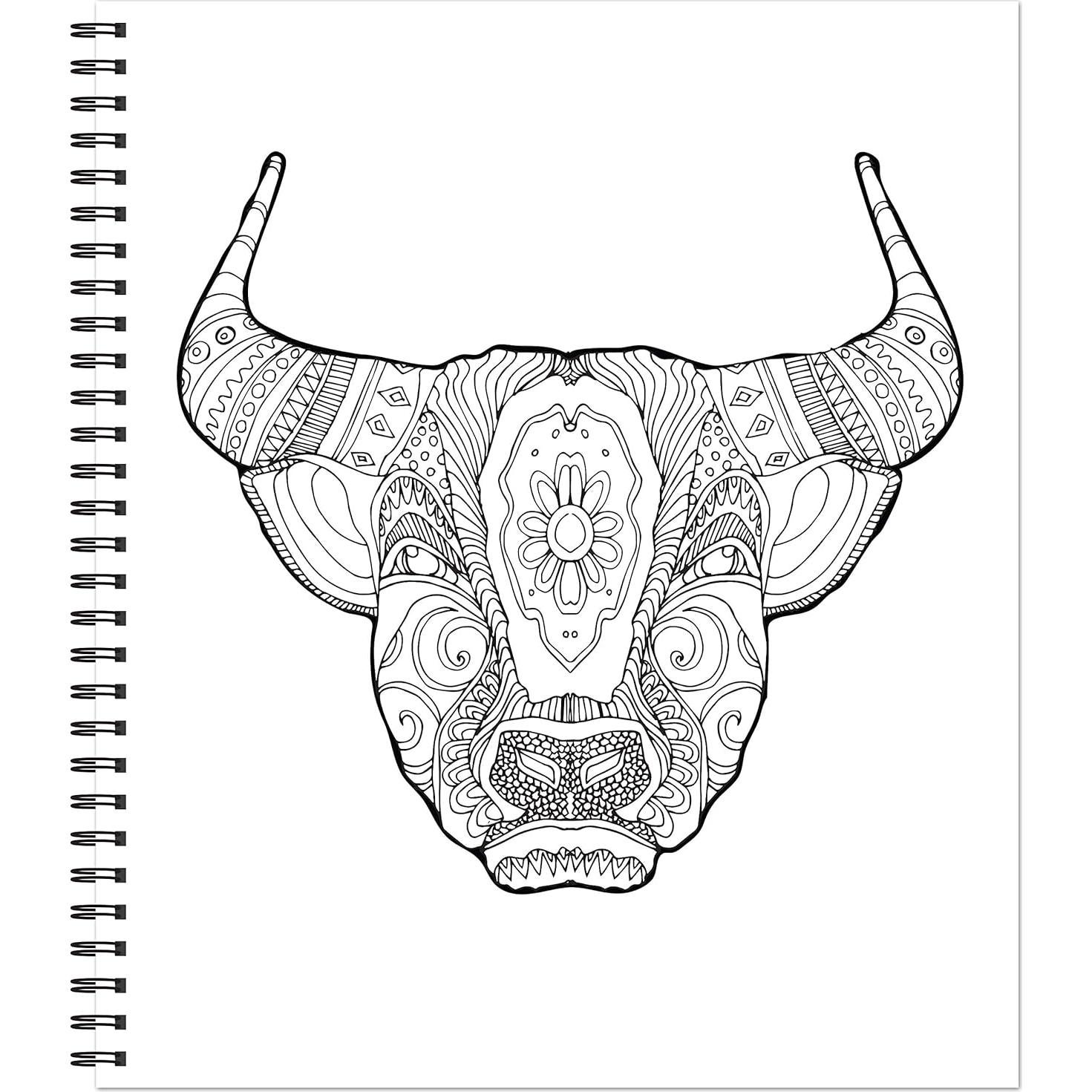 Color & Frame - Painted Deserts (Adult Coloring Book)