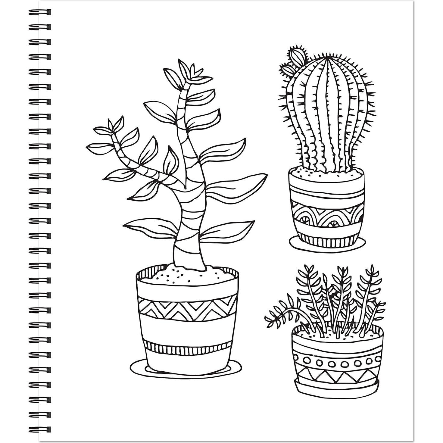 Color & Frame - Painted Deserts (Adult Coloring Book)