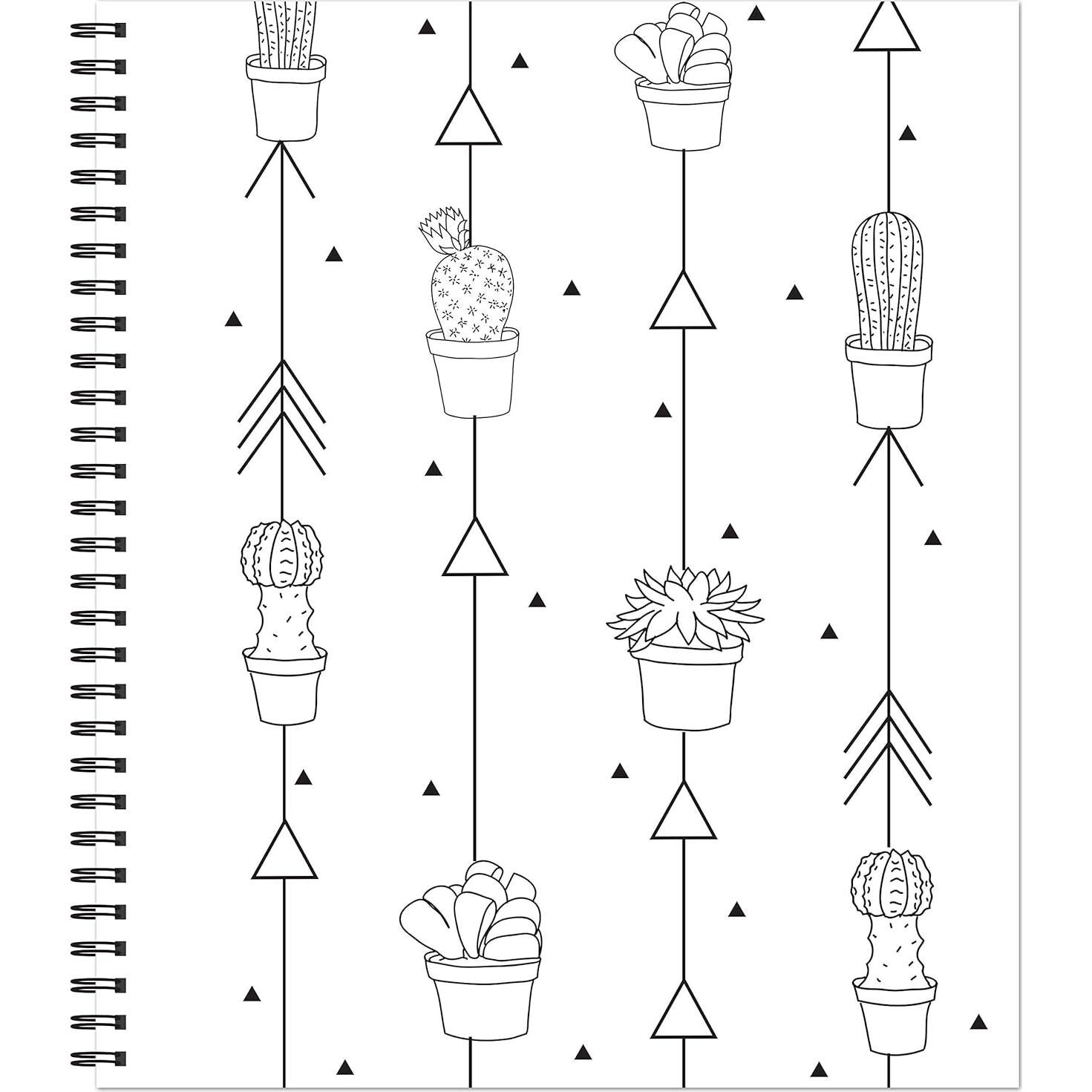 Color & Frame - Painted Deserts (Adult Coloring Book)
