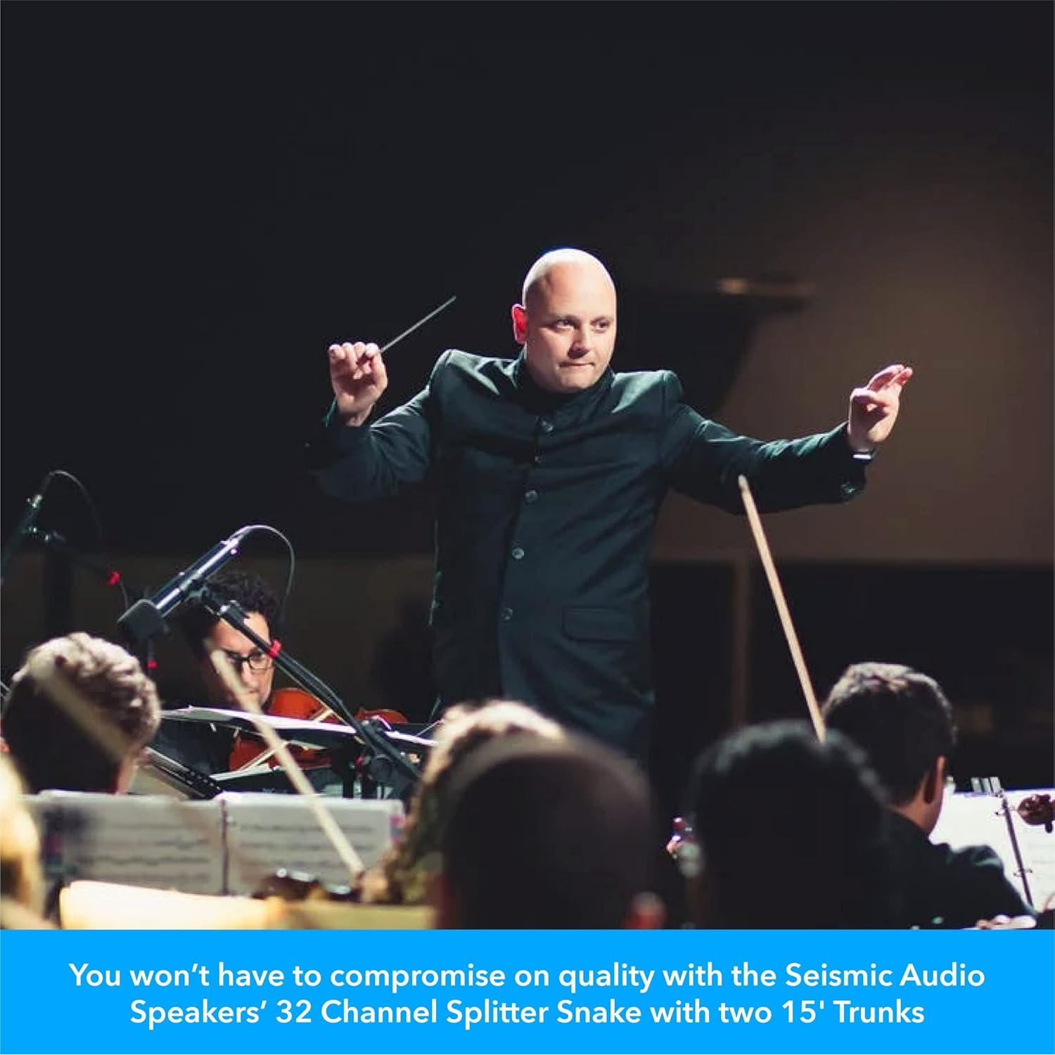 Cable Divisor 32 Canales XLR Seismic Audio 2 Troncos 4.57 m