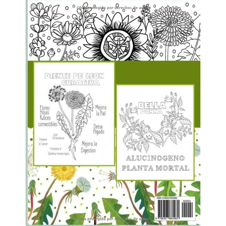Hierbas Magicas de la Bruja Verde Libro para Colorear: Curativas y Toxicas- Aprende coloreando a identificar las plantas y sus propiedades- Para Magia Natural con Plantas-82 Paginas (Spanish Edition)