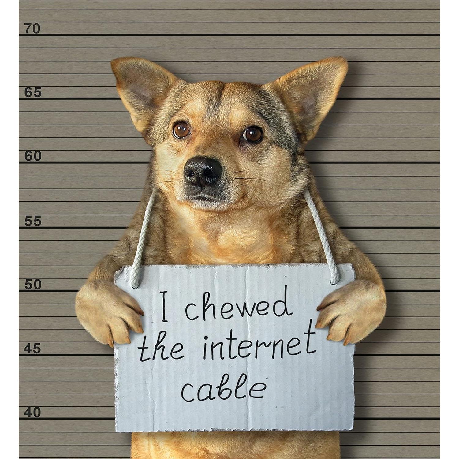 Ocultador de Cables Coaxiales Sleek Socket con Kit Adhesivo