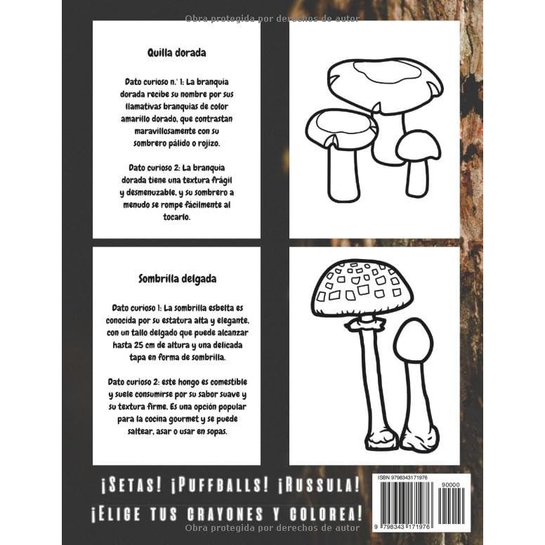 Aprenda sobre los Hongos: datos y libro para colorear: para niños de 4 a 12 años (Spanish Edition)