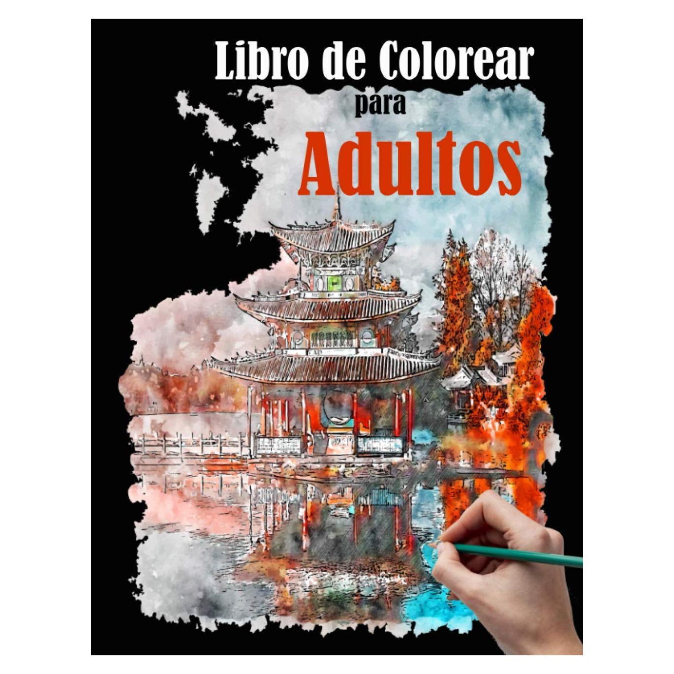Libro de Colorear para Adultos: cuadernos para pintar , ciudad , ramo de flores , flor , mandala y otras formas geométricas páginas para colorear 100 ( 50 dibujos ) (Spanish Edition)