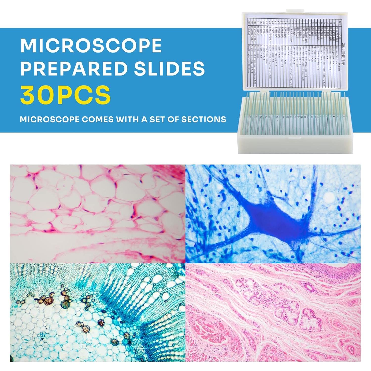 Microscopio Biológico Crspexil 40X-2000X con Accesorios