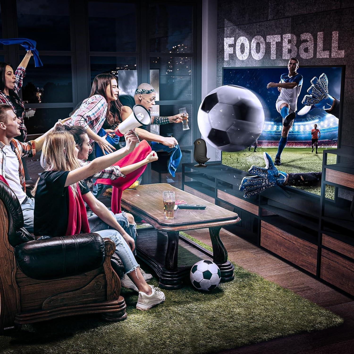 Antena de TV Interior FESAS 5.49 m Rango 1046 km 1080p 4K