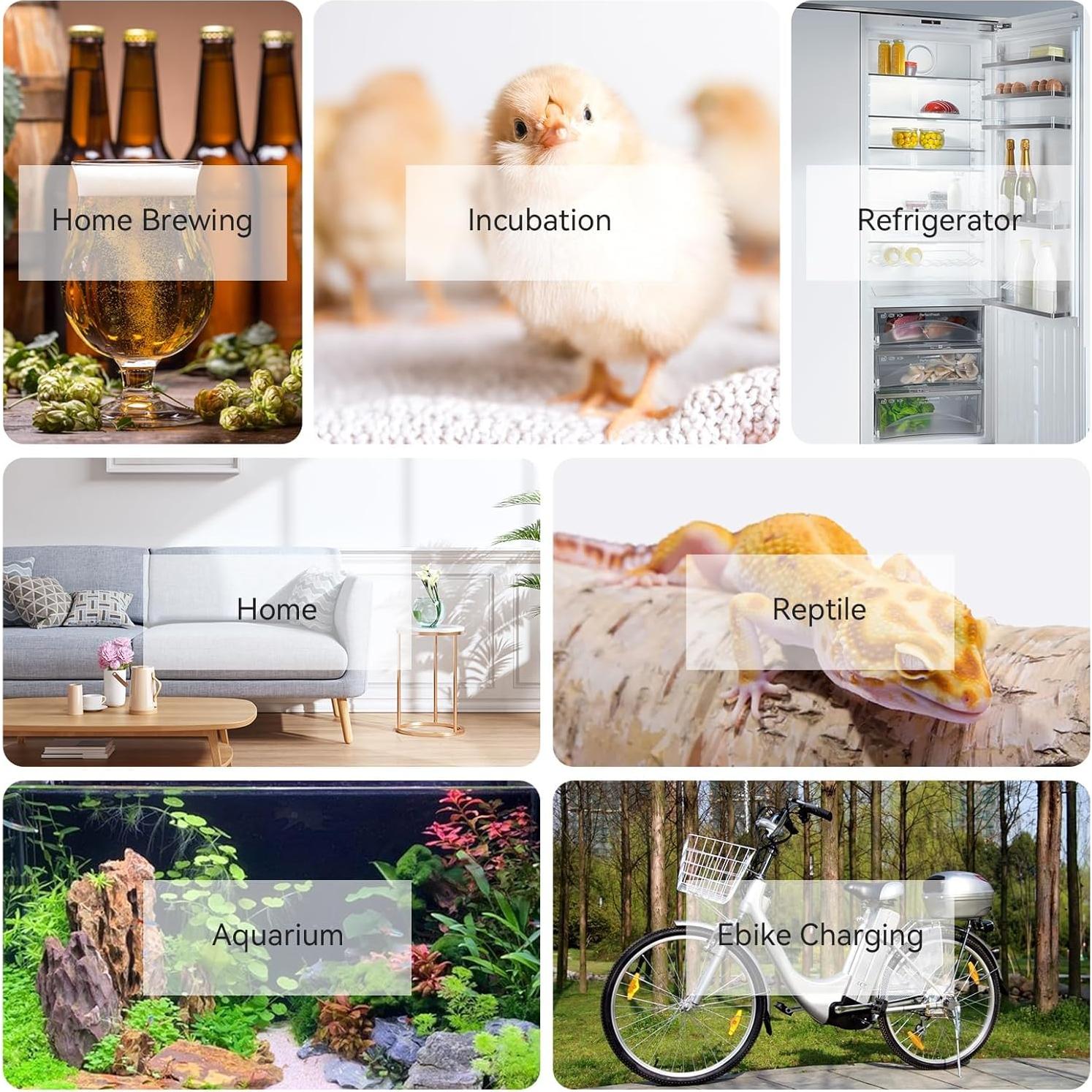 Controlador de Temperatura INKBIRDPLUS TC819, 120V, LCD