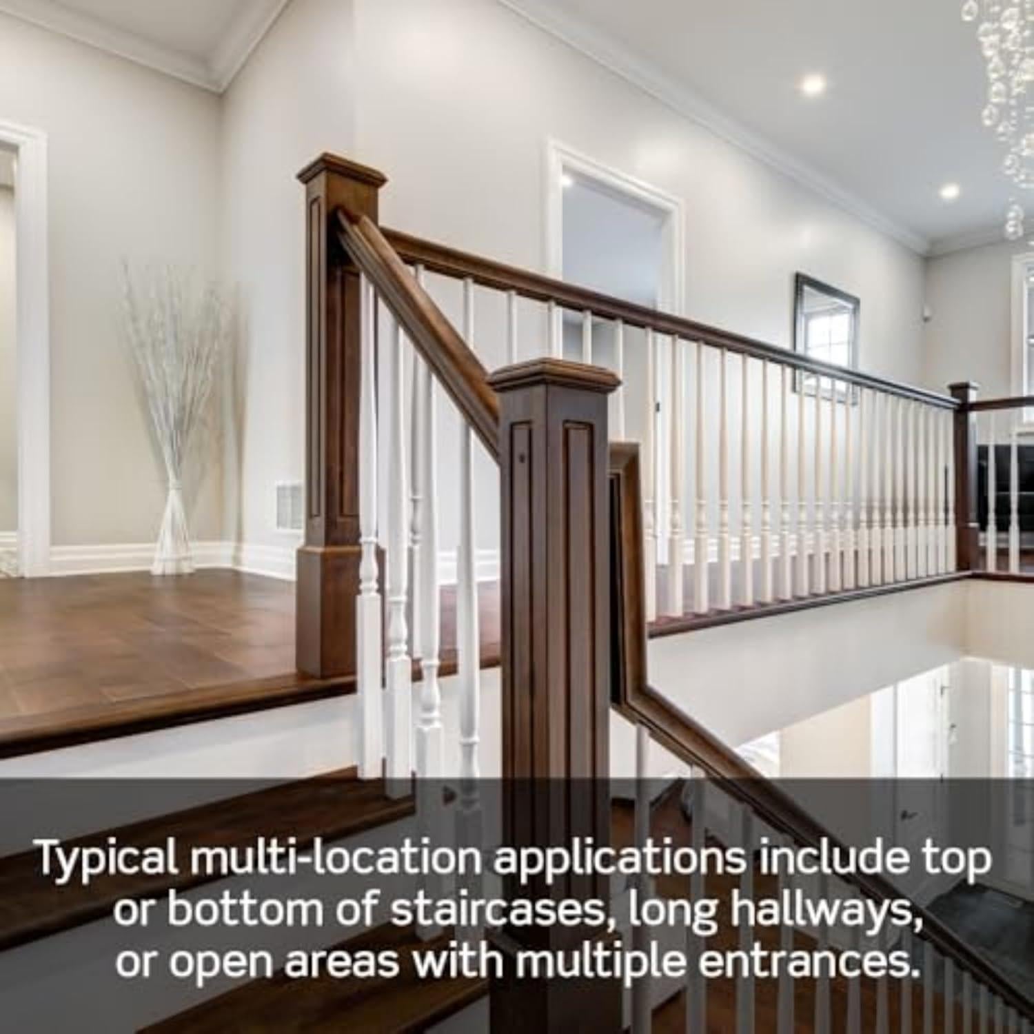 Compañero de Interruptor Inteligente Leviton DD0SR-DLZ con LED