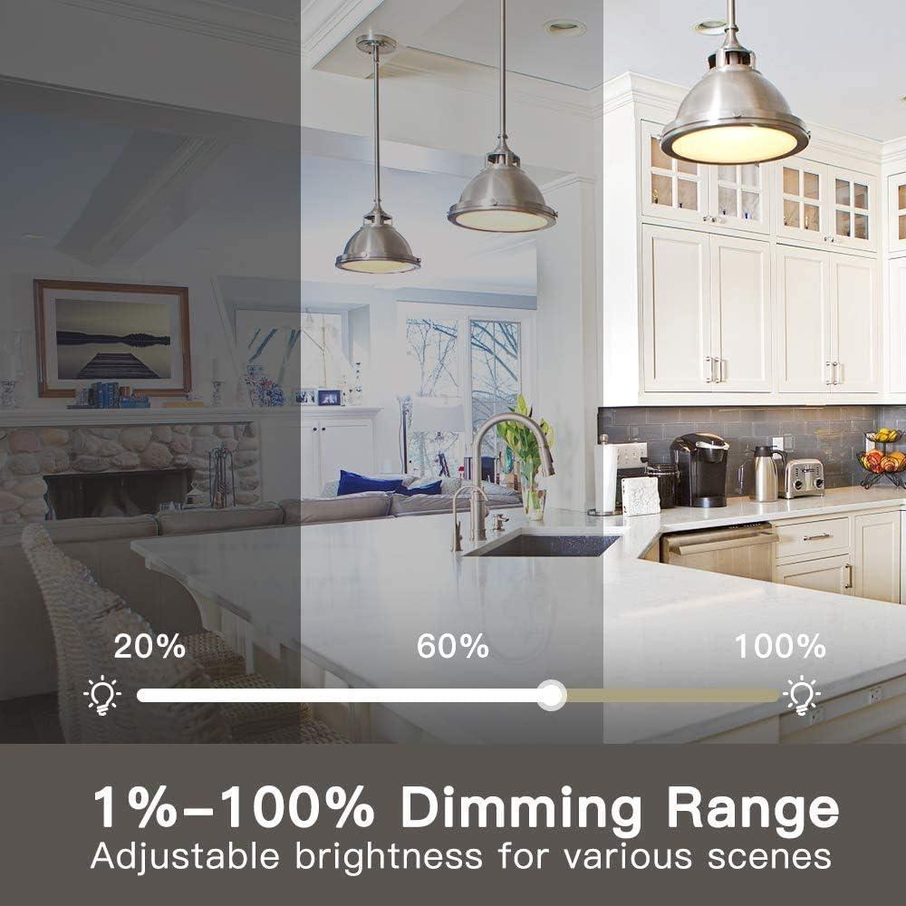 Interruptor Regulador Inteligente TREATLIFE Wi-Fi 2.4GHz