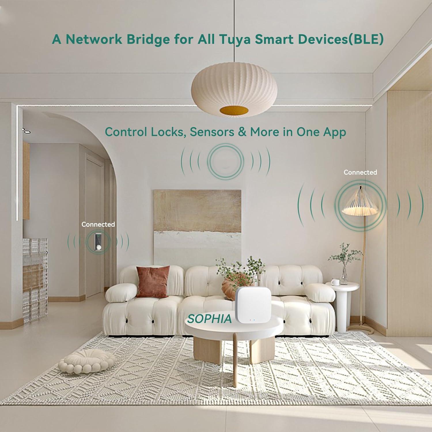 Hub Inteligente SOPHIA DK-BHUB-W Bluetooth a WiFi 2.4GHz