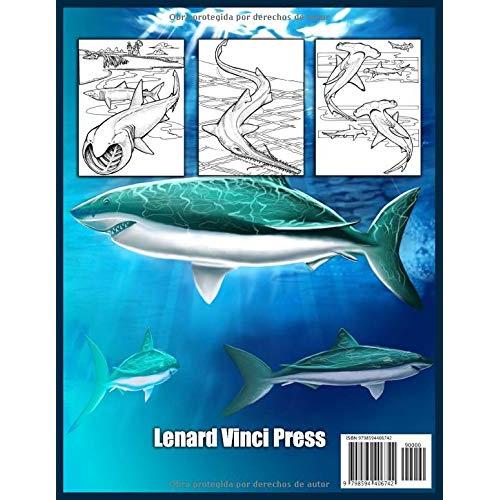Tiburones Libro De Colorear Para Adultos: Libro de Colorear Antiestrés Para Adultos (Spanish Edition)