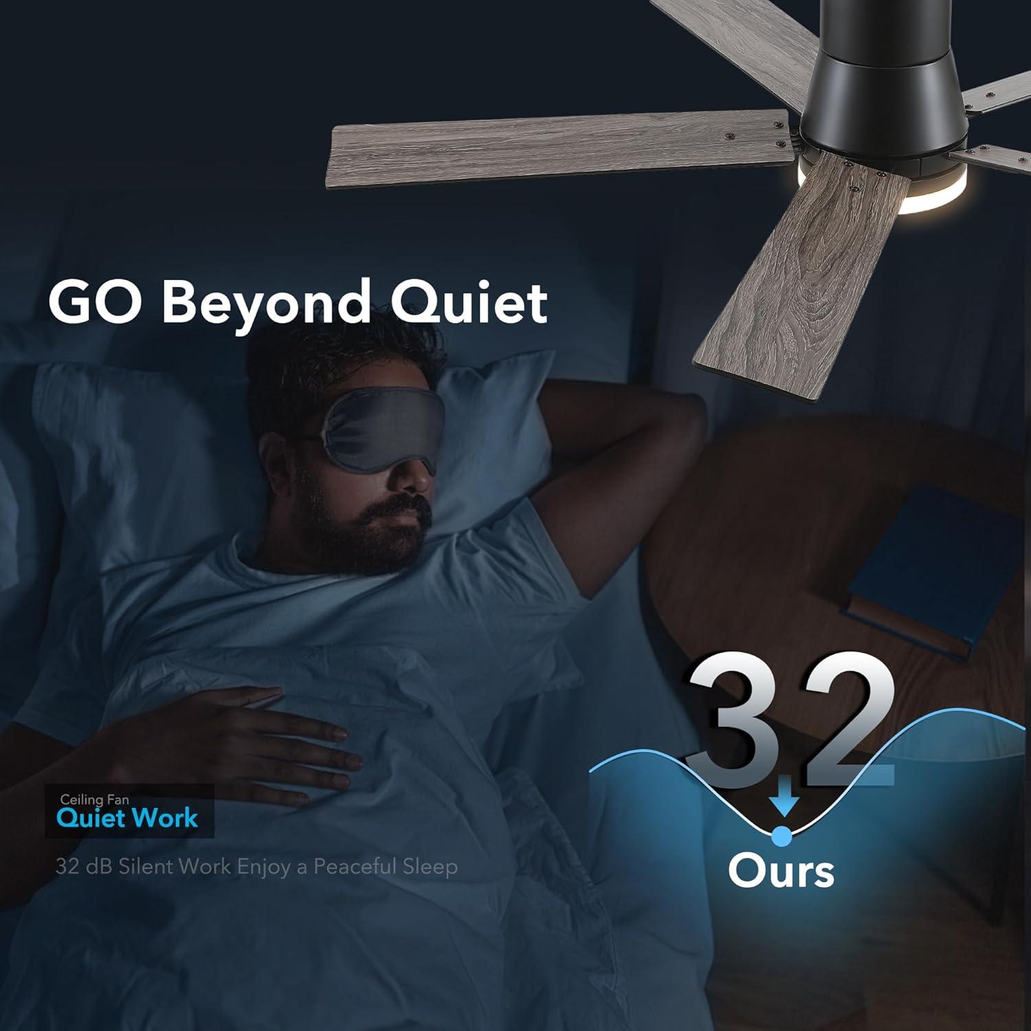 Ventilador de Techo Rayqueen 132 cm Negro con Control Remoto