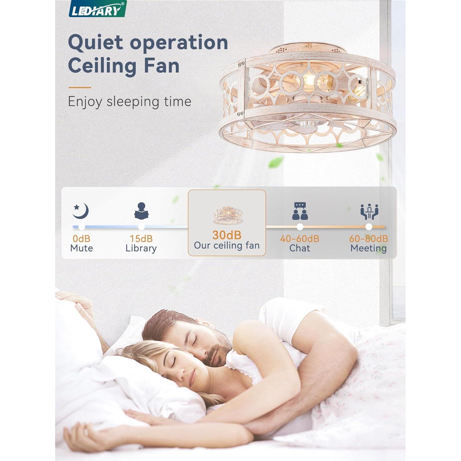 Ventilador de Techo LEDIARY con Luz y Control Remoto 40.64cm