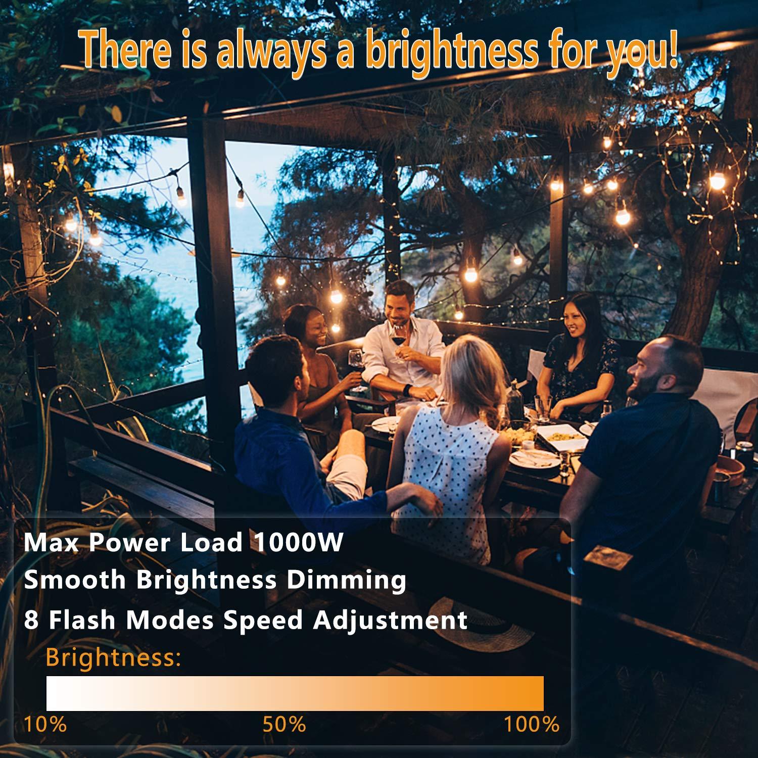 Regulador de Luz de Cuerda Aubric 1000W IP68 Control Remoto