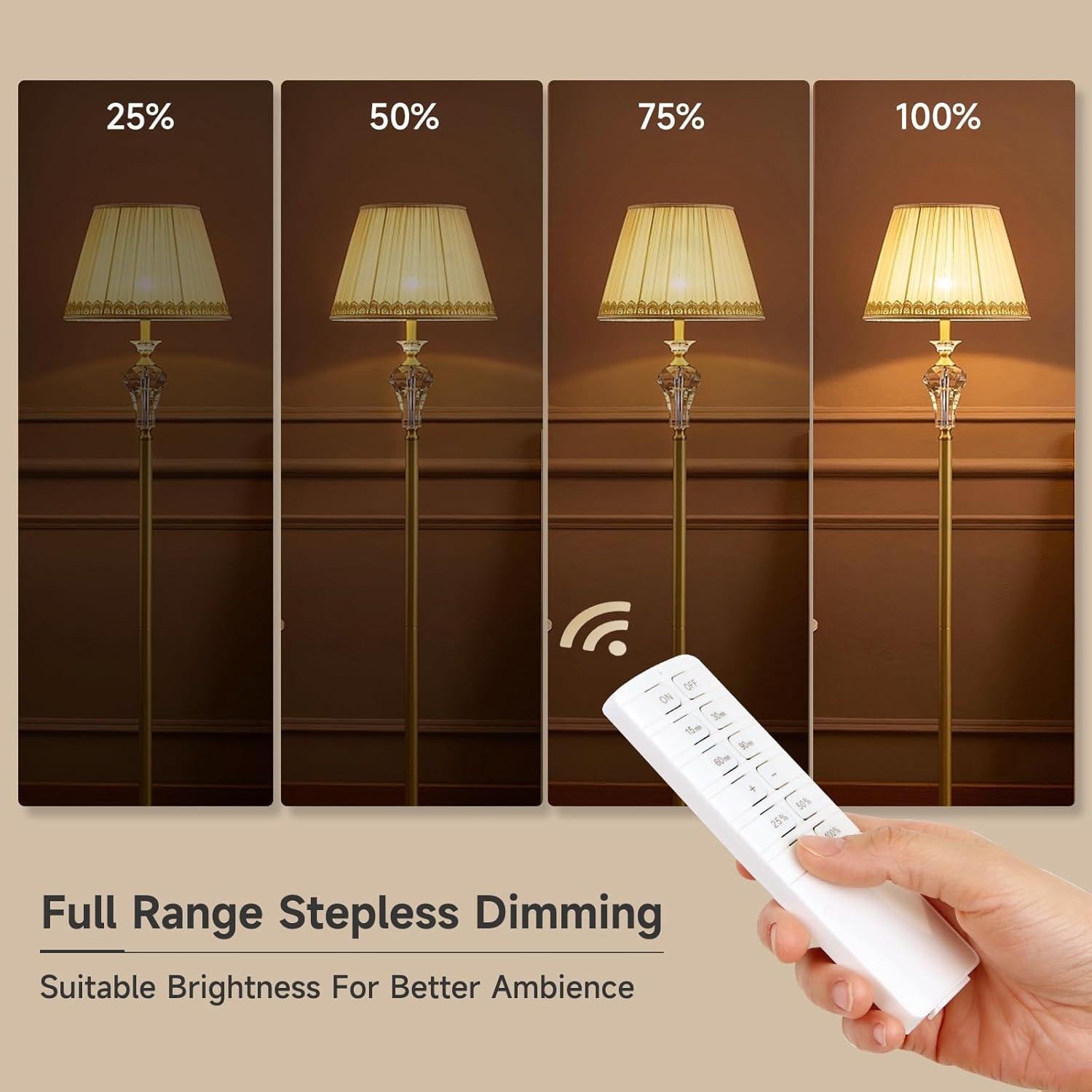 Interruptor Regulador de Luz DUOXIENIA con Control Remoto 30m