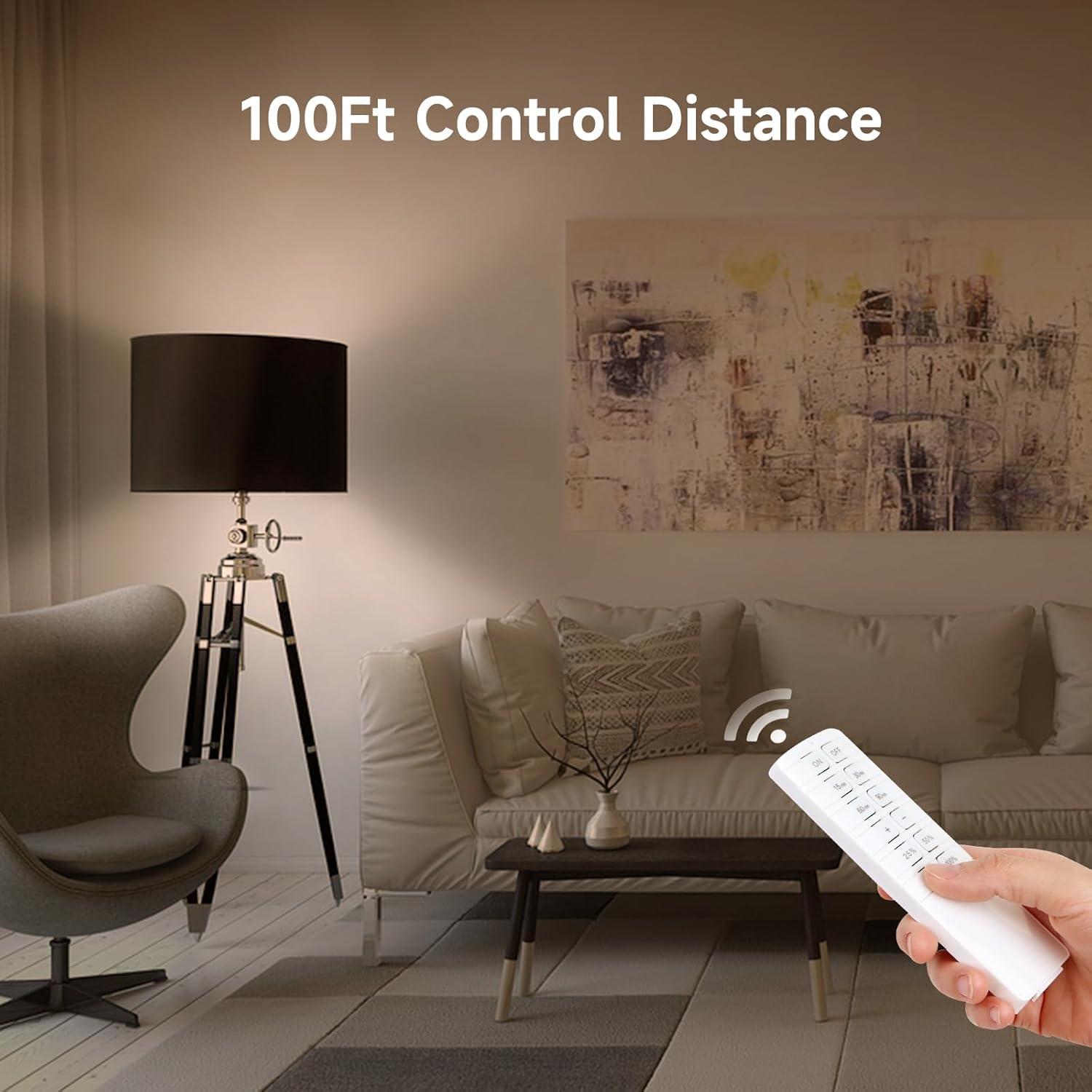 Interruptor Regulador de Luz DUOXIENIA con Control Remoto 30m