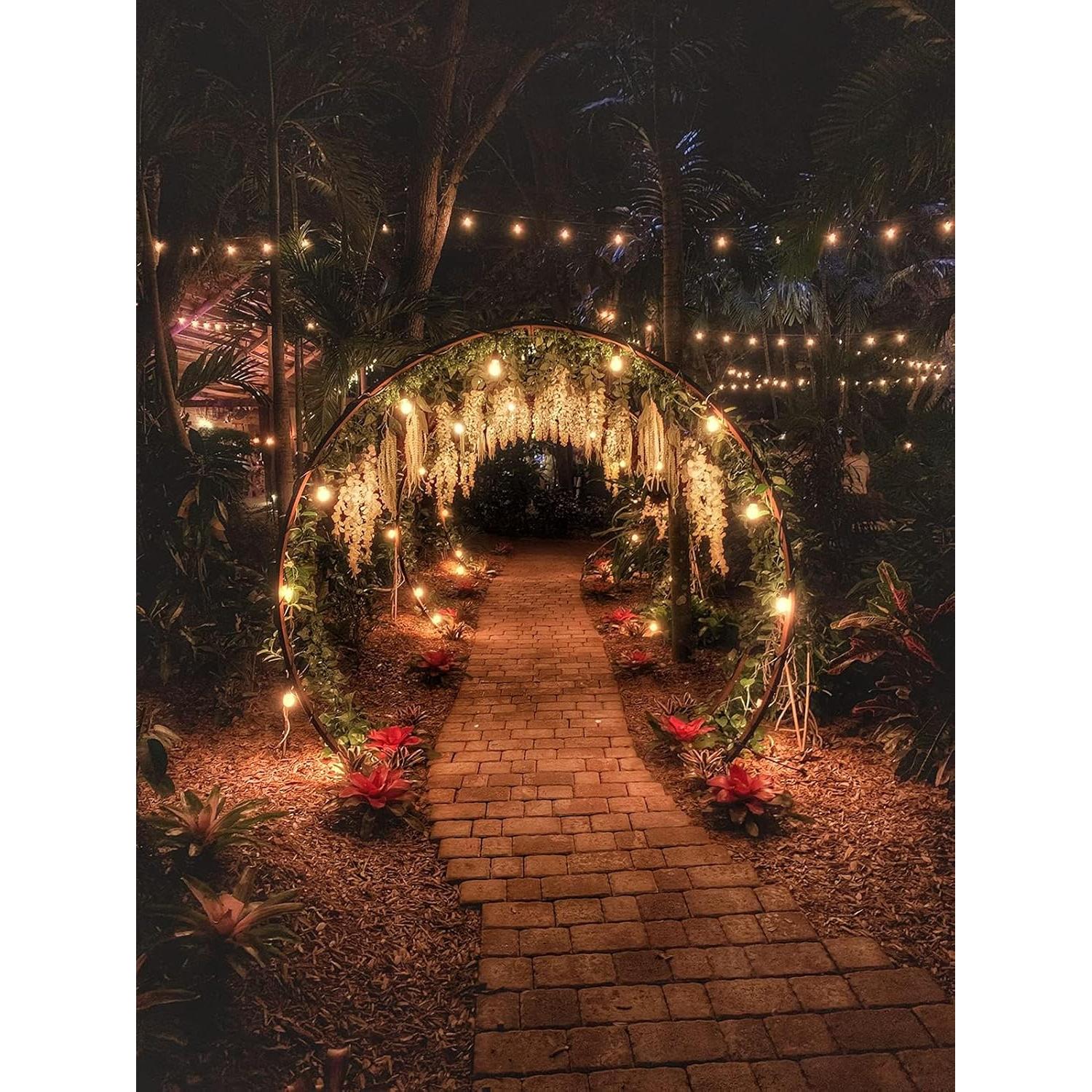 Dimmer addlon para luces de cuerda exteriores 300W con control remoto