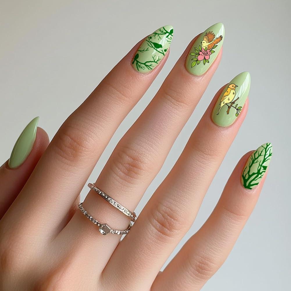 Kit de Placas de Estampado de Uñas PH PandaHall - 3 Piezas