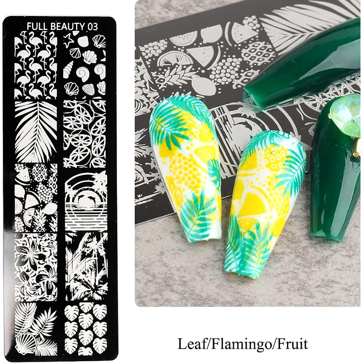 Plantillas de Estampado de Uñas FaCai 6 Piezas Acero Inoxidable